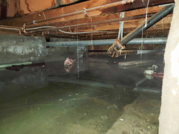 Water damage restoration mold remediation in Clifton, TN