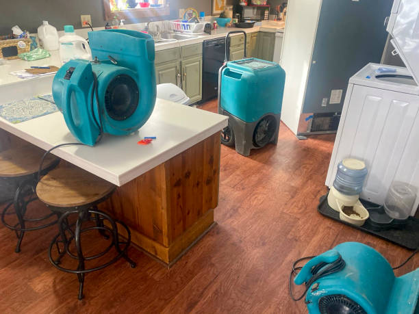 Best 24/7 water damage repair  in Clifton, TN