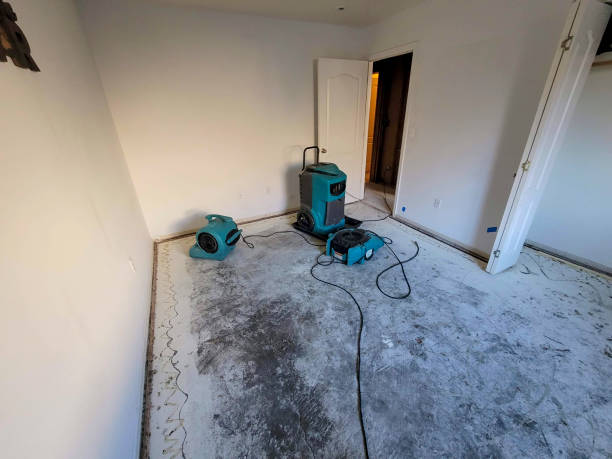 Best Water damage restoration near me  in Clifton, TN