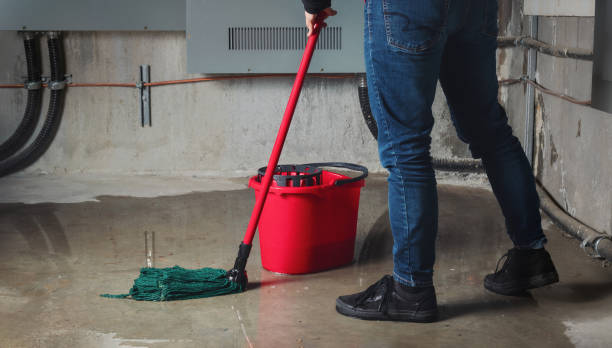 Best Ceiling water damage repair  in Clifton, TN