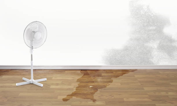 Clifton, TN Water damage restoration Company