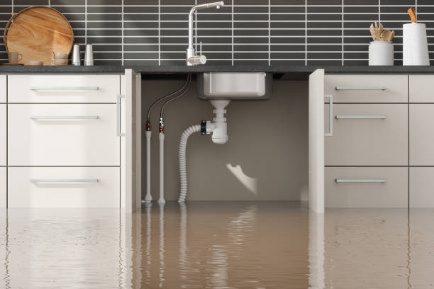 Best Flood restoration services  in Clifton, TN