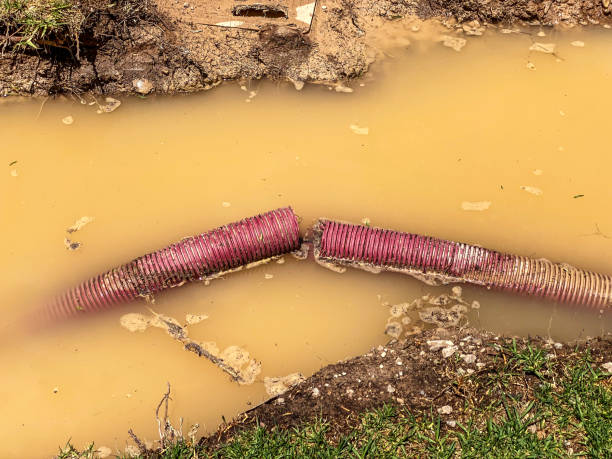 Professional Water damage restoration in Clifton, TN