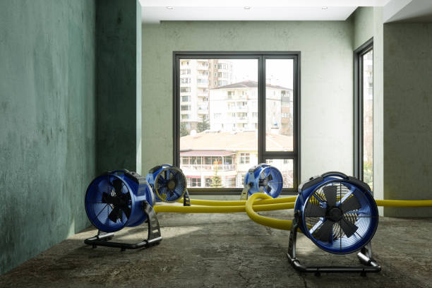 Best Sewage cleanup and water damage restoration  in Clifton, TN