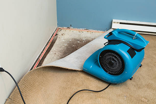 Best Water damage restoration near me  in Clifton, TN